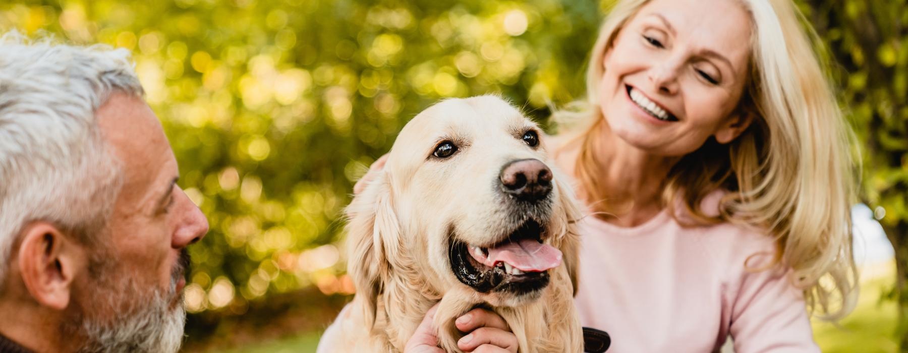 a man and a woman holding a dog